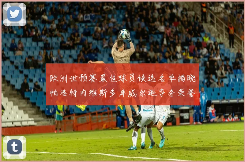 欧洲世预赛最佳球员候选名单揭晓帕洛特内维斯多库威尔逊争夺荣誉