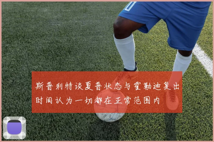 斯普利特谈夏普状态与霍勒迪复出时间认为一切都在正常范围内